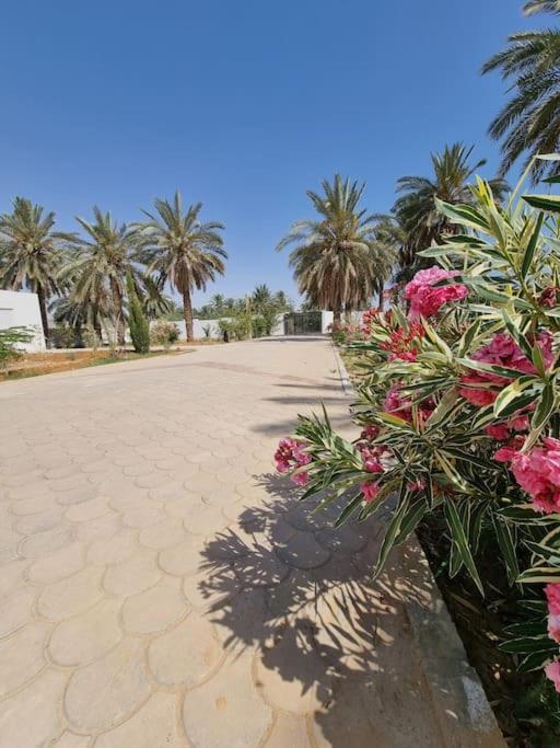 Dar Jamila - Au Coeur De L'Oasis - Villa Gabes Eksteriør billede
